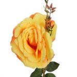 Gałązka róży z pąkiem w kolorze żółtym - obrazek 2