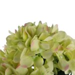 Bukiet 5 HORTENSJI w kolorze ZIELONYM 52 cm - obrazek 2