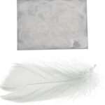 Piórka białe w boksie PVC