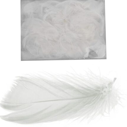Piórka białe w boksie PVC