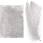 Wyselekcjonowane białe piórka do dekoracji w boksie PVC