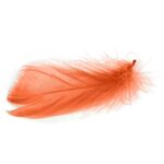 Pomarańczowe Pióra Dekoracyjne w Przezroczystym Boksie PVC - obrazek 2