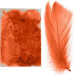 Pomarańczowe Pióra Dekoracyjne w Przezroczystym Boksie PVC