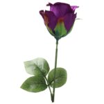 Róża pojedynka w kolorze fioletowym 68 cm - obrazek 3