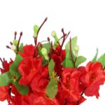 Bukiet 9 JABŁONI w kolorzeCZERWONYM 38 cm - obrazek 2