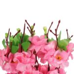 Bukiet 9 JABŁONI w kolorze JASNO RÓŻOWYM 38 cm - obrazek 2