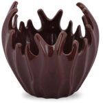 Miska koralowiec brązowa - obrazek 2