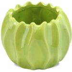 Mała Dekoracyjna Miseczka Koralowiec w Kolorze Zielonym - obrazek 2
