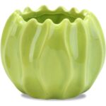 Mała Dekoracyjna Miseczka Koralowiec w Kolorze Zielonym