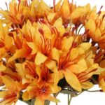 Bukiet 5 gałązek z kwiatami azalii kolor pomarańczowy - obrazek 3