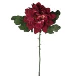 Cynia Bordowa Sztuczna - Kwiat Dekoracyjny 70 cm