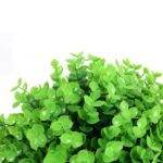 Sztuczna Kula z Bukszpanu 25 cm - Dekoracja Wnętrz - obrazek 2