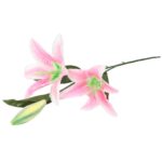 GAŁĄZKA 2 LILII KWIAT SZTUCZNY  RÓŻOWA - obrazek 3