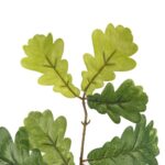 GAŁĄZKA LIŚCI DĘBU 60 CM - obrazek 2