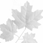 GAŁĄZKA LIŚCI OZDOBNYCH 68 CM KOLOR BIAŁY - obrazek 2