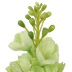 LEWKONIA KWIAT SZTUCZNY ZIELONY - obrazek 3