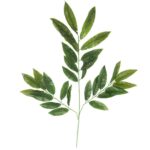 GAŁĄZKA LIŚCI JESIONU 65 CM