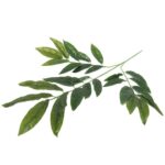 GAŁĄZKA LIŚCI JESIONU 65 CM - obrazek 3