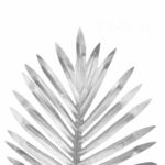 SREBRNY Liść Cycasa do Kompozycji Kwiatowych 35x20 cm - obrazek 2