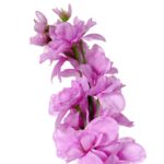 Ostróżka Dekoracyjna Fioletowa - Kwiat Szlachetnej Imitacji 70cm - obrazek 2