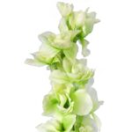 Ostróżka Dekoracyjna Zieleniąca 70cm - Kwiat Artystyczny Wyglądający Jak Żywy - obrazek 2