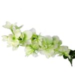 Ostróżka Dekoracyjna Zieleniąca 70cm - Kwiat Artystyczny Wyglądający Jak Żywy - obrazek 3