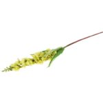 Zielona Dekoracyjna Gałązka Lewkonii Naturalnej Wielkości - obrazek 3