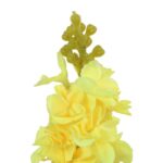 Sztuczny Kwiat Lewkonia w Kolorze Żółtym - Realistyczna Dekoracja, Wysokość 84 cm - obrazek 2