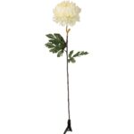 Chryzantema pojedynczy kwiat duża, ekskluzywna w kolorze białym 80 cm - obrazek 2