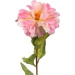 Cynia w kolorze jasnoróżowym - gałązka o długości 75 cm - obrazek 2