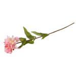 Cynia w kolorze jasnoróżowym - gałązka o długości 75 cm - obrazek 3