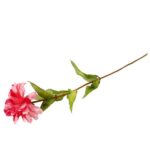 Różowa Cynia - Gałązka Dekoracyjna 75 cm - obrazek 3