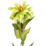 Zielona Cynia - Gałązka Dekoracyjna o długości 75 cm - obrazek 2