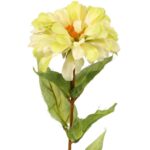 Żółta Cynia Dekoracyjna 75 cm - obrazek 2