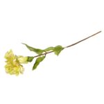 Żółta Cynia Dekoracyjna 75 cm - obrazek 3