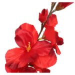 GLADIOLA CZERWONA - obrazek 2