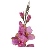 Różowy sztuczny kwiat Gladiola o długości 70 cm w odcieniach jesieni - obrazek 2