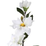 Sztuczna Gałązka Białych Magnolii - 3 Kwiaty, 78 cm - obrazek 3