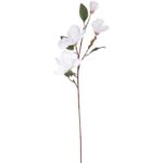 Gałązka 4 magnolii w kolorze białym - obrazek 2