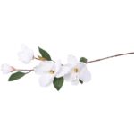 Gałązka 4 magnolii w kolorze białym - obrazek 3