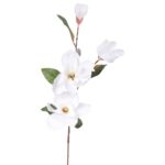 Gałązka 4 magnolii w kolorze białym