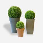 Kula bukszpanowa, 30 cm - obrazek 3