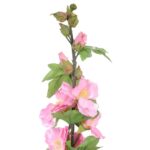 MALWA RÓŻOWA - obrazek 2