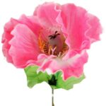 Mak Dekoracyjny Różowy Naturalnej Aury 54 cm - obrazek 3