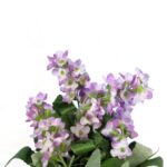 Kompozycja Sztucznych Kwiatów w Ceramicznym Doniczce 15cm - Fioletowa Lawenda - obrazek 2