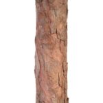 Sztuczna Choinka GOLIAT Ola na Pniu 180cm - Wysokiej Jakości Polski Produkt - obrazek 3