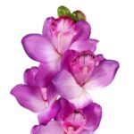 Storczyk Dekoracyjny Fioletowy 98 cm - Realistyczny Kwiat Ozdobny - obrazek 2