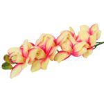 Storczyk Dekoracyjny Łososiowy - Kwiat Jednosztukowy 98cm - obrazek 3