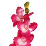 Storczyk Różowy Dekoracyjny - Naturalnej Wielkości - obrazek 2