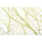 ORGANZA ZIELONA Z NADRUKIEM  BROKATOWYM 0,50 x 10 m - obrazek 3